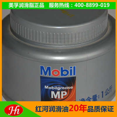 �|ݸ�|������MP�S��